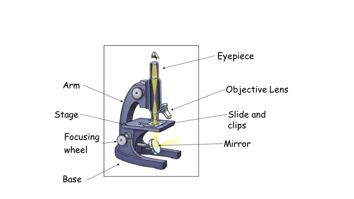 Plug Diagram Gcse / Diagram 1982 Honda Trx 200 Wiring Diagram Full